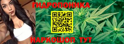 ГАЛЛЮЦИНОГЕННЫЕ ГРИБЫ Краснокаменск