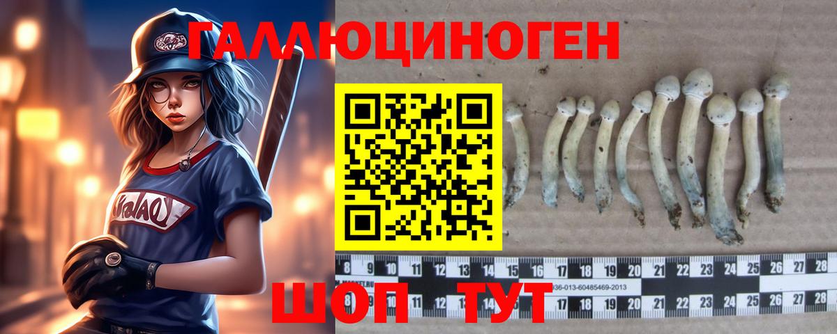 Галлюциногенные грибы MAGIC MUSHROOMS Старая Купавна
